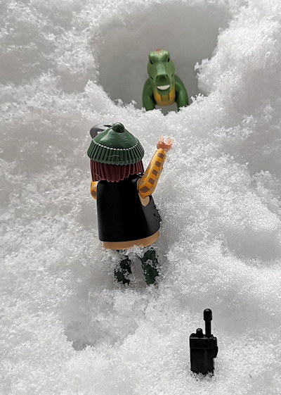 Dinosaur snow rescue staged by radio girl